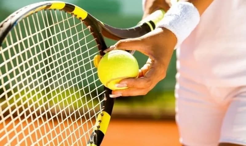 Cá cược quần vợt GamVip: Nguyên tắc, kèo cược, mẹo hay 4 Động lực thi đấu của mỗi tay vợt